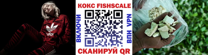 где найти наркотики  Петушки  КОКАИН FishScale 