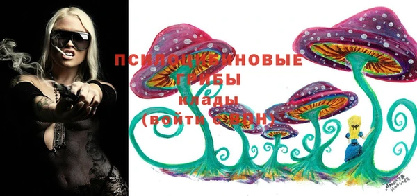 mdpv Алзамай